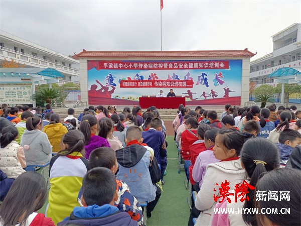 汉阴县平梁镇中心小学举办传染病防控和食品安全健康知识培训会