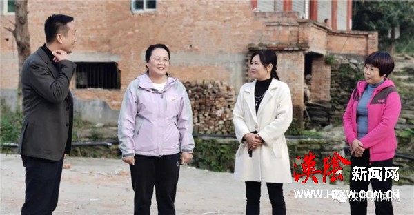 汉阴县委书记刘飞霞到双河口镇调研脱贫攻坚同乡村振兴有效衔接工作