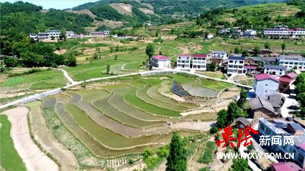 订单种植让古梯田焕发新生机
