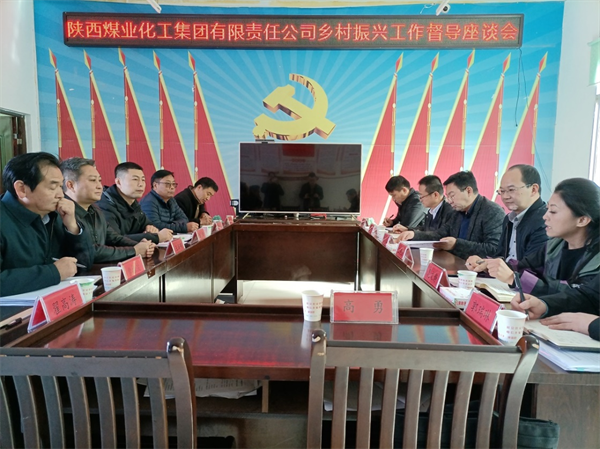 陕煤集团纪委督导调研组到蒲洁能化公司定点帮扶磨坝村开展督导调研