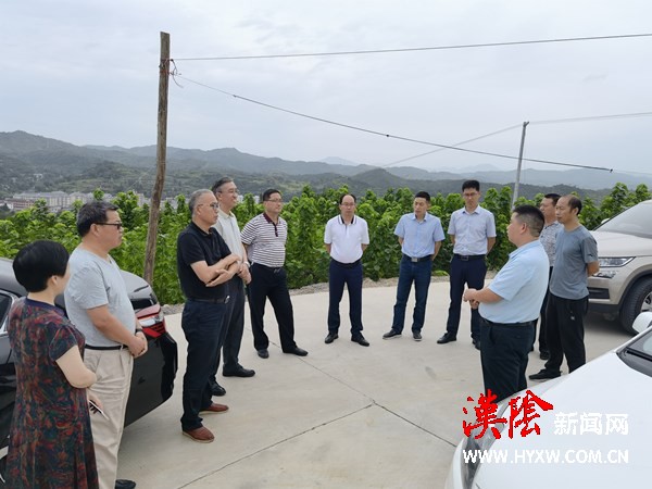 汉阴：西农大专家团来我县调研指导省级标准化蚕桑产业园区建设