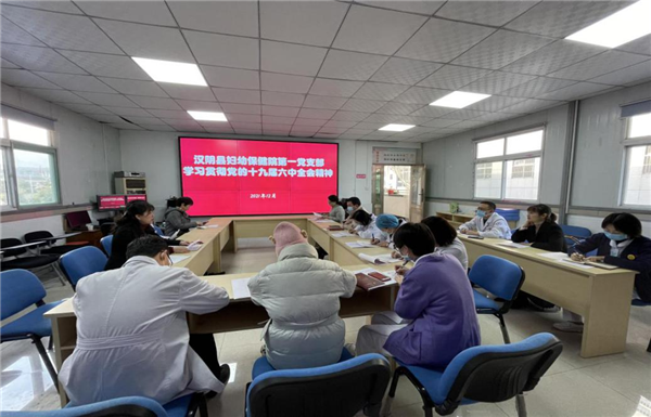 汉阴县妇幼保健院各支部迅速掀起学习贯彻党的十九届六中全会精神热潮