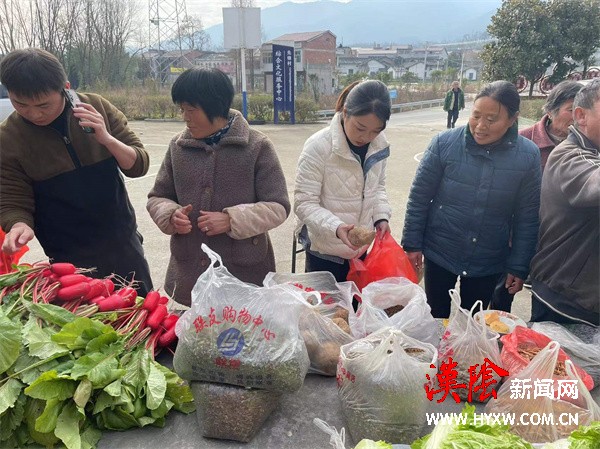 推进消费帮扶 助力乡村振兴——县招商服务中心到村开展消费扶贫工作