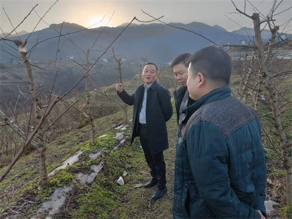 刘勇到双乳镇调研指导工作