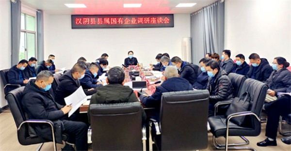 汉阴县委书记刘飞霞调研指导县属国有企业改革发展工作