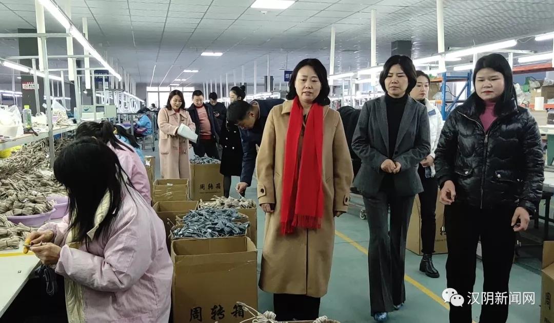 市招商和经济合作局局长卫莎莎来汉阴调研招商引资项目复工复产情况