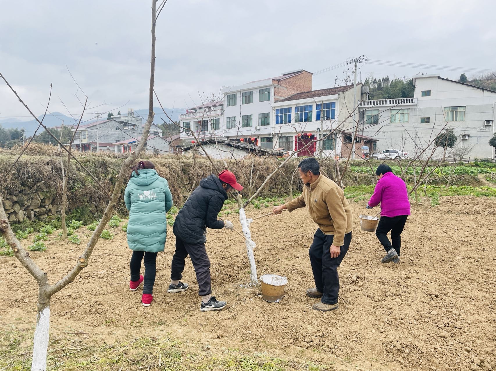 蒲溪镇溪畔社区：春耕正当时 不负好春光