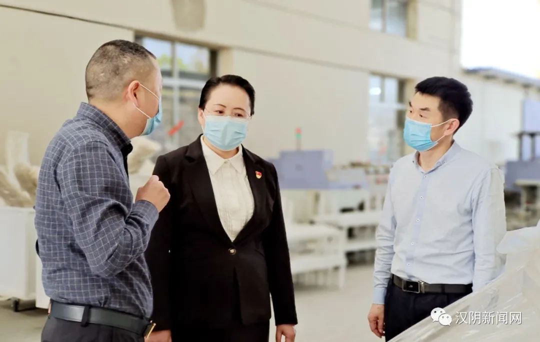 汉阴：县委书记刘飞霞到涧池镇调研产业项目建设工作