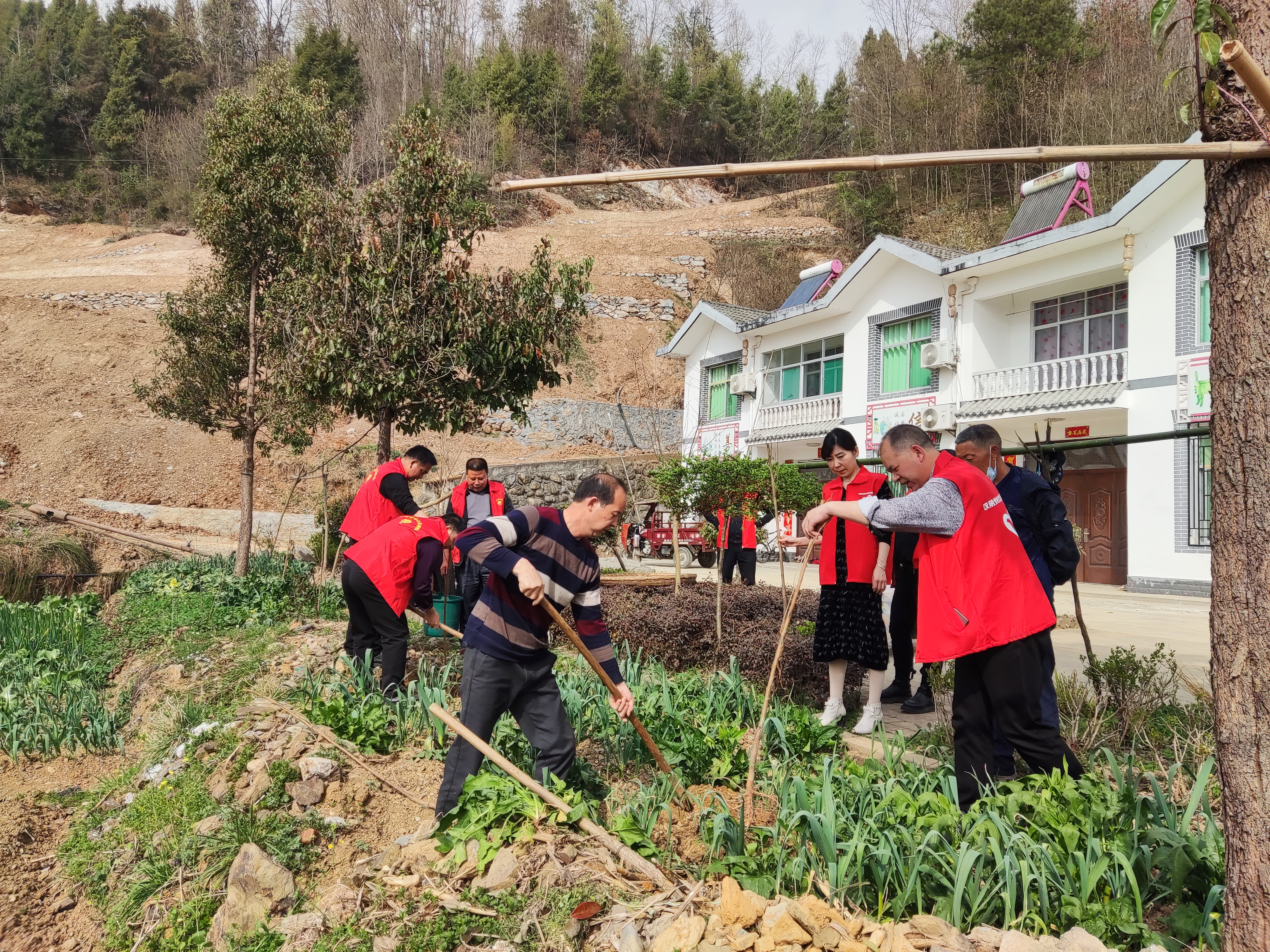 漩涡镇：既要庭院美丽也要庭院经济