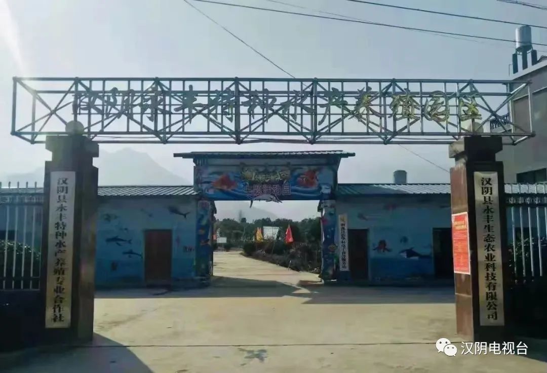 汉阴县水产养殖“永丰模式”的实践与启示