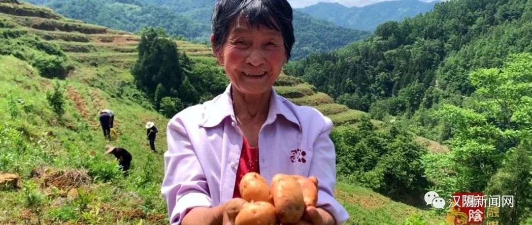 《公益助农：汉阴土豆》入选“2021年陕西网络公益工程精品项目”殊荣