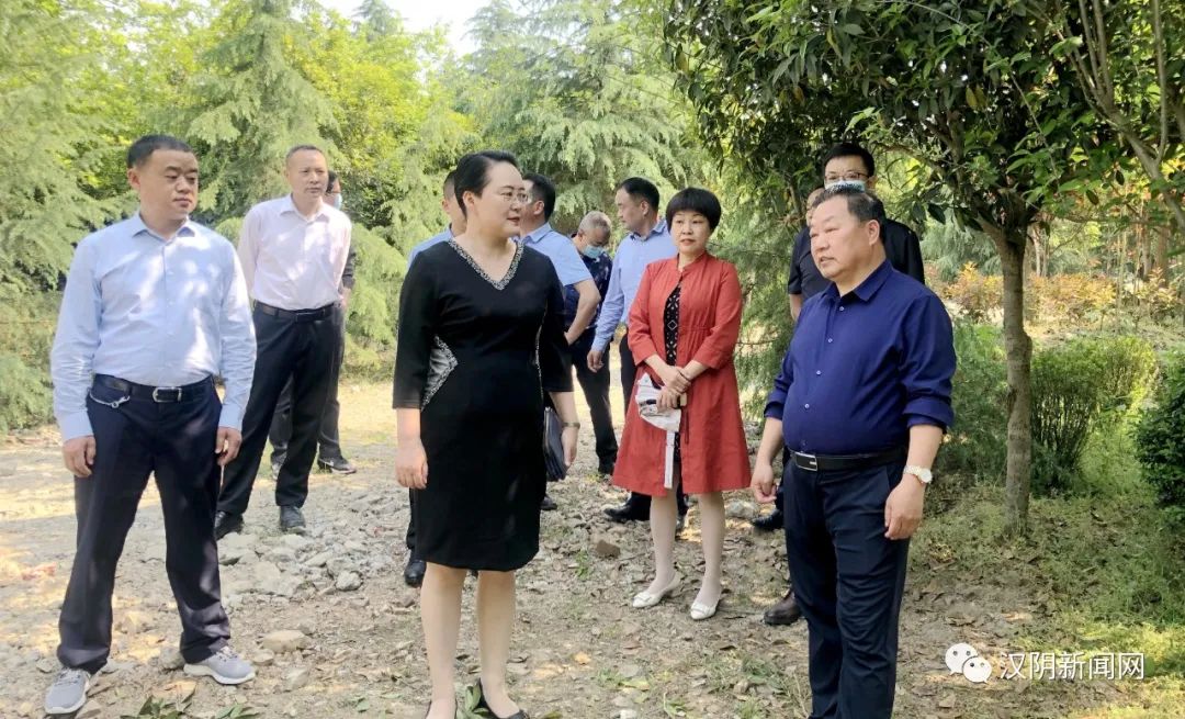 汉阴：刘飞霞到平梁镇调研乡村振兴示范村和省级苗木花卉示范园建设工作