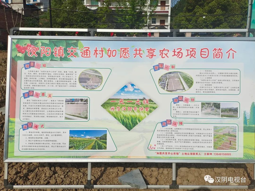 想要当“农场主”吗？汉阴“如愿共享开心农场”等你来认领