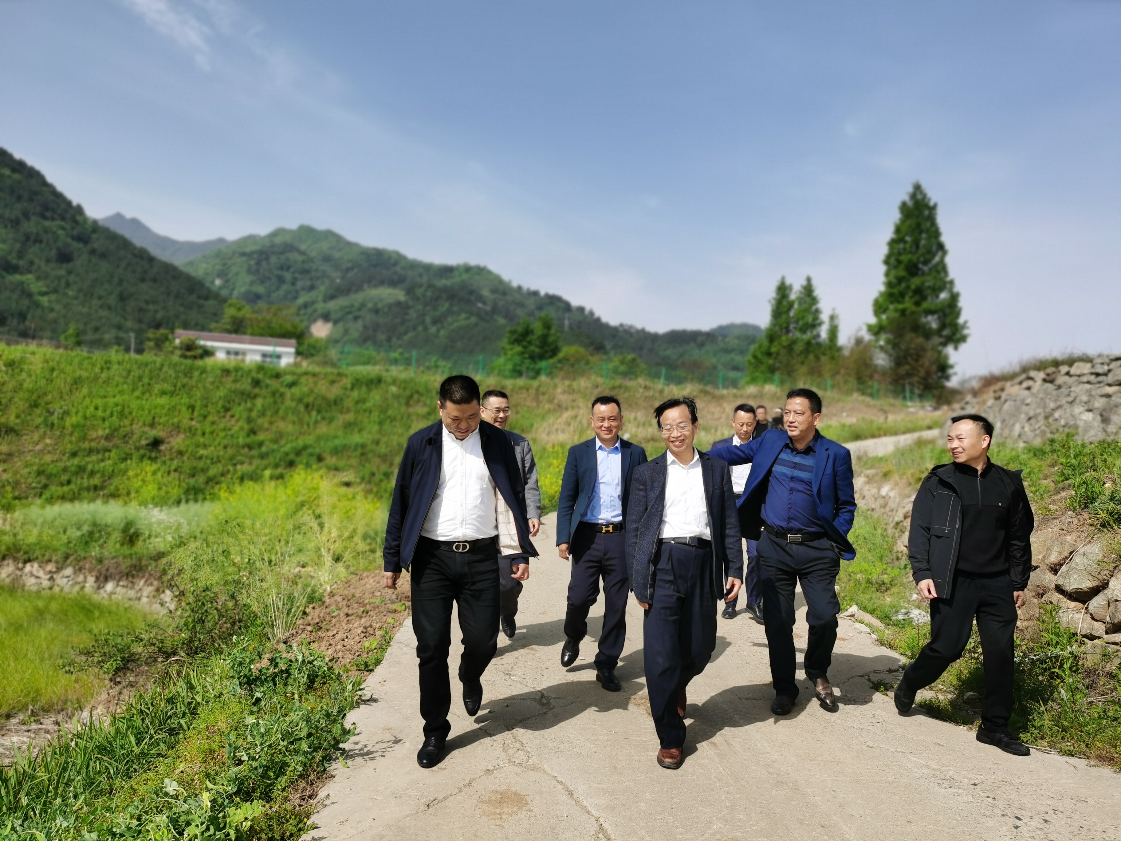 汉阴县政协主席刘定东调研指导乡村振兴产业发展 