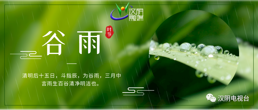 今日谷雨 | 春归谷雨