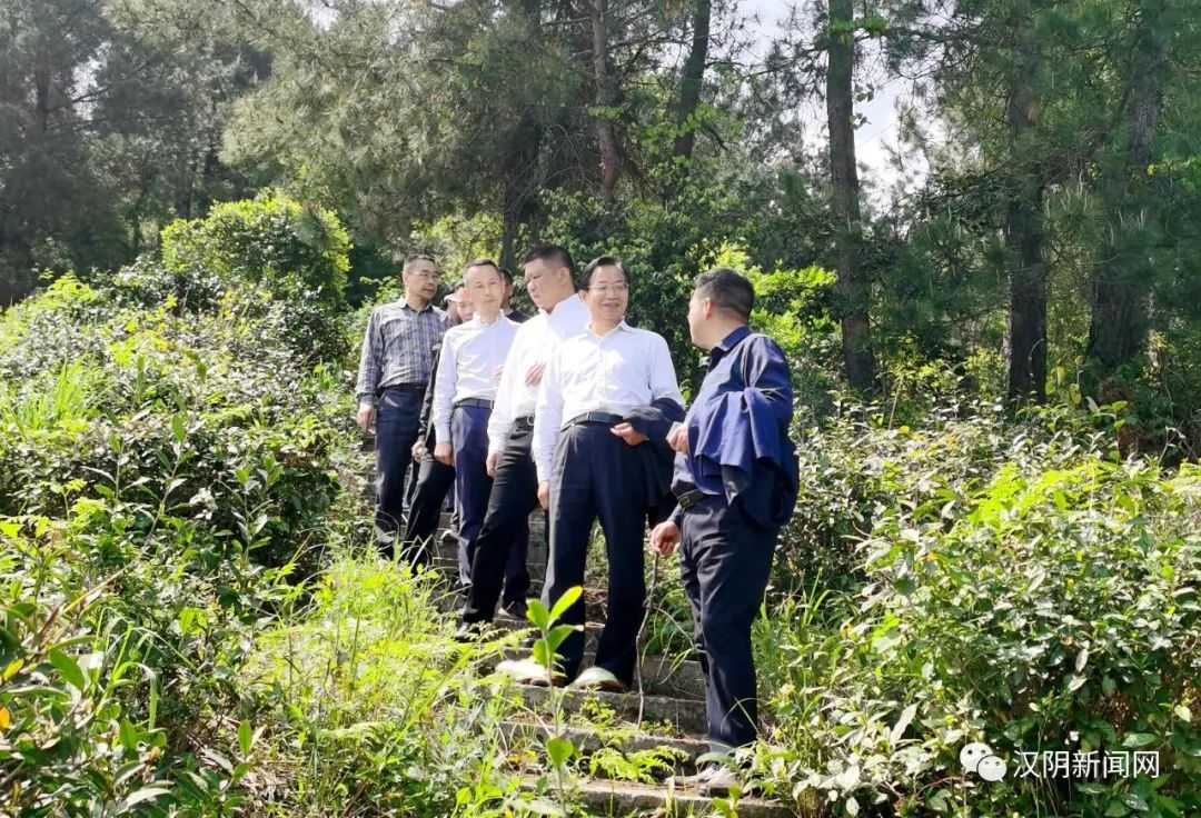 汉阴县政协主席刘定东调研指导乡村振兴产业发展工作
