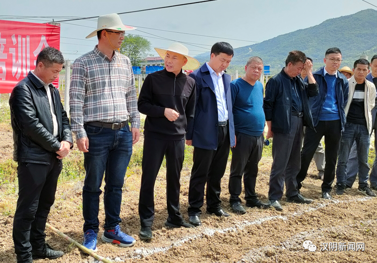 汉阴：蒲溪镇抢抓春耕好时节 科学种植保丰收