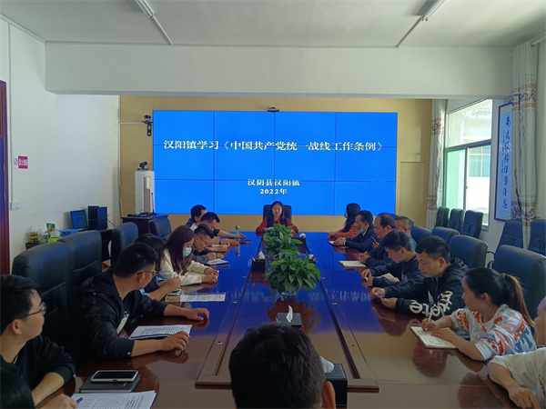 汉阳镇：年轻干部强化学习 为统战注入新活力