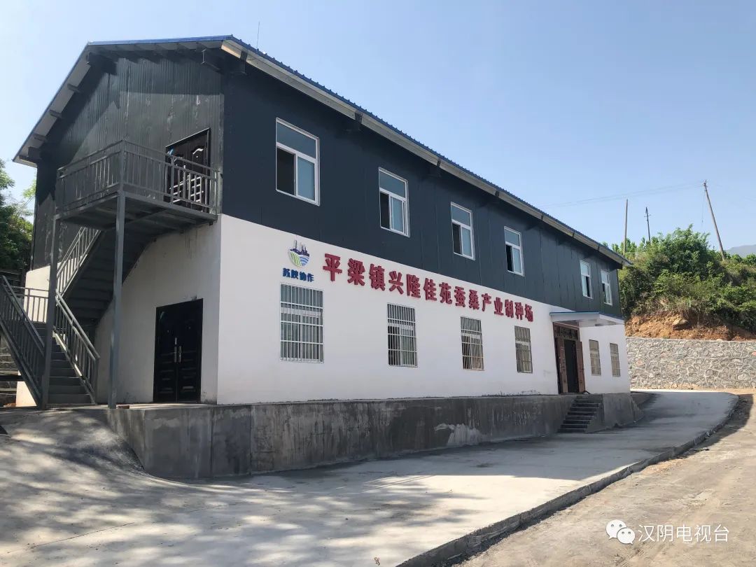 汉阴：种桑养蚕 编织致富“新丝路”