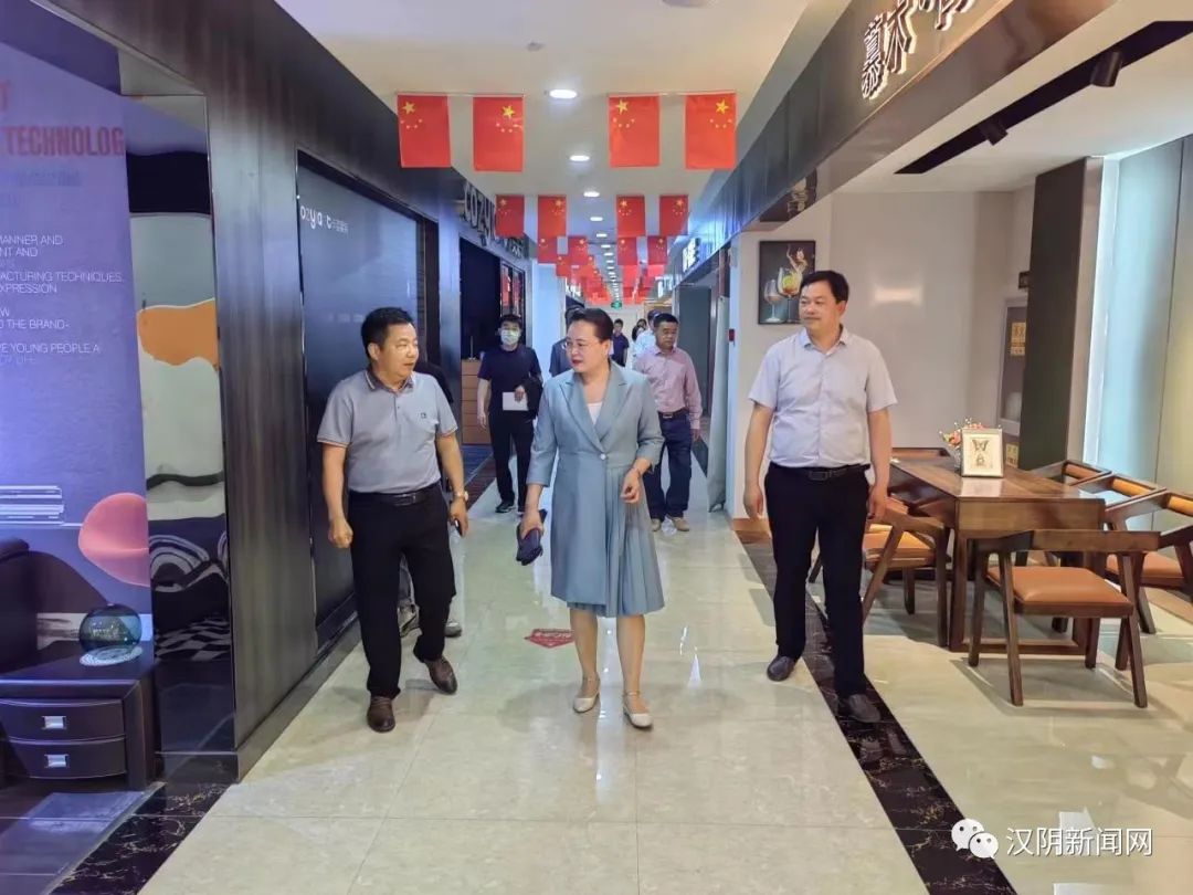汉阴：县委书记刘飞霞调研乡村振兴示范村建设工作