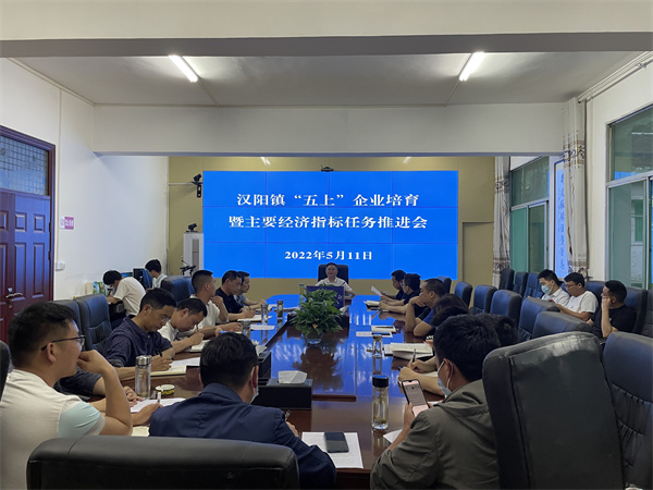 汉阴：汉阳镇召开“五上”企业培育暨主要经济指标任务推进会