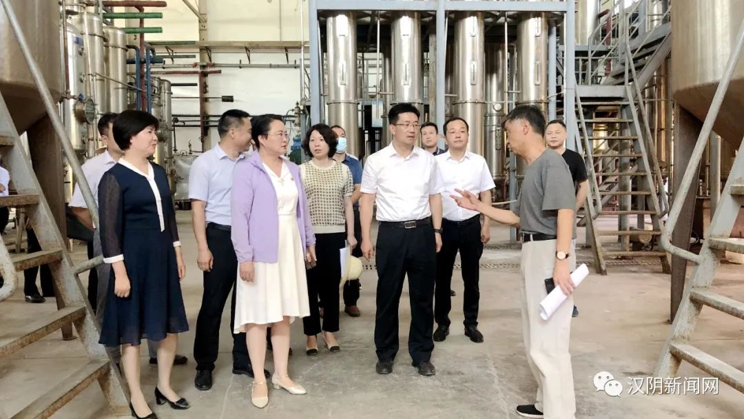 寇全安来汉阴调研秦巴医药产业发展工作