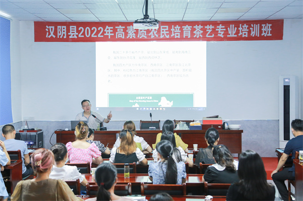 汉阴县：与茶“共舞”促“茶”飘香