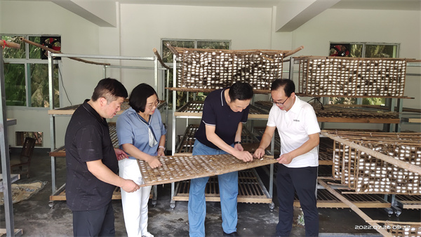 汉阴：市蚕桑产业发展中心主任陈康来汉阴调研蚕桑产业
