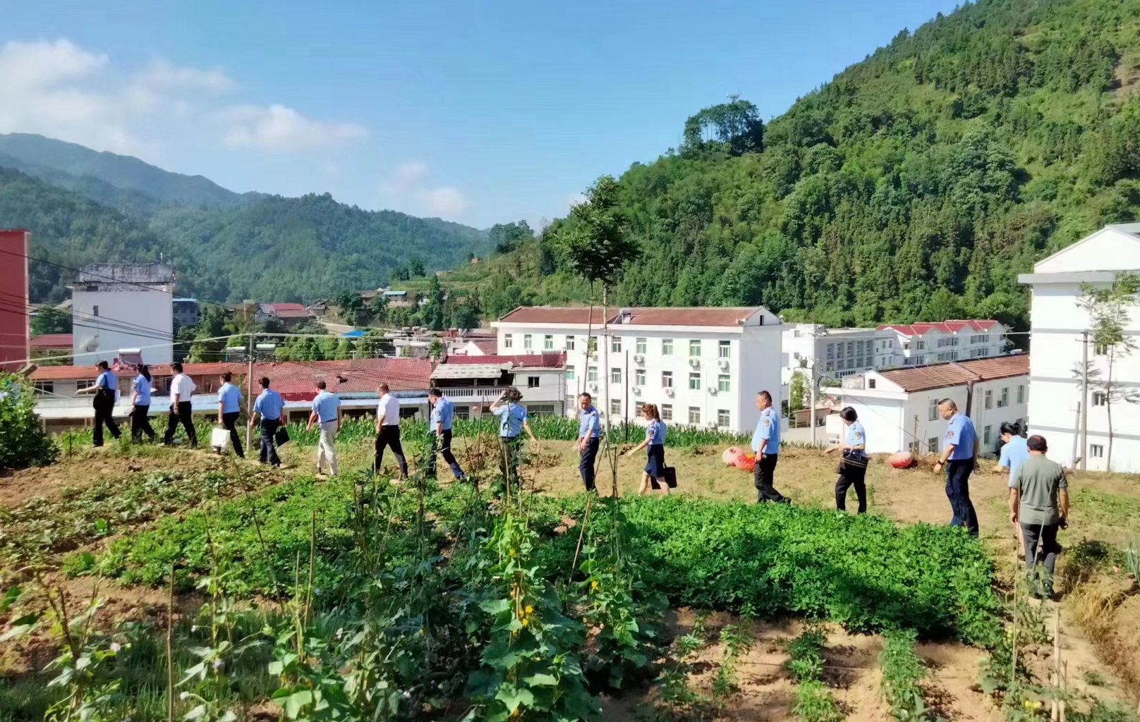 小菜园撬动社区群众新生活