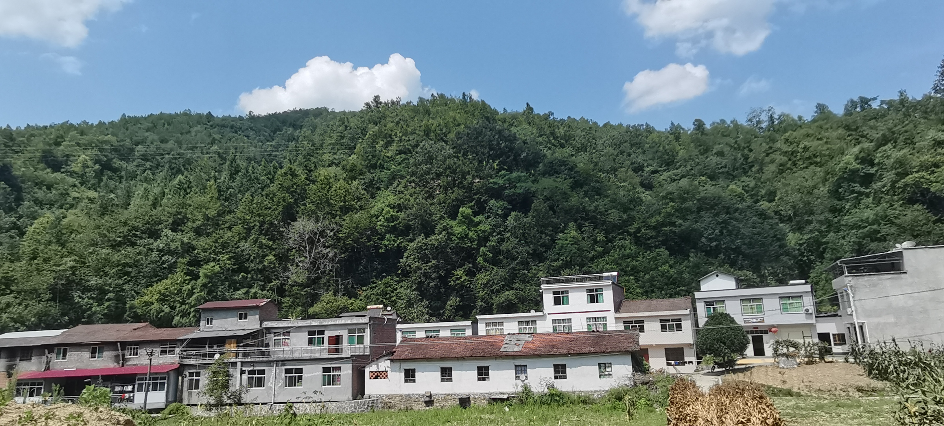 漩涡镇：让热爱和奉献为青春添彩