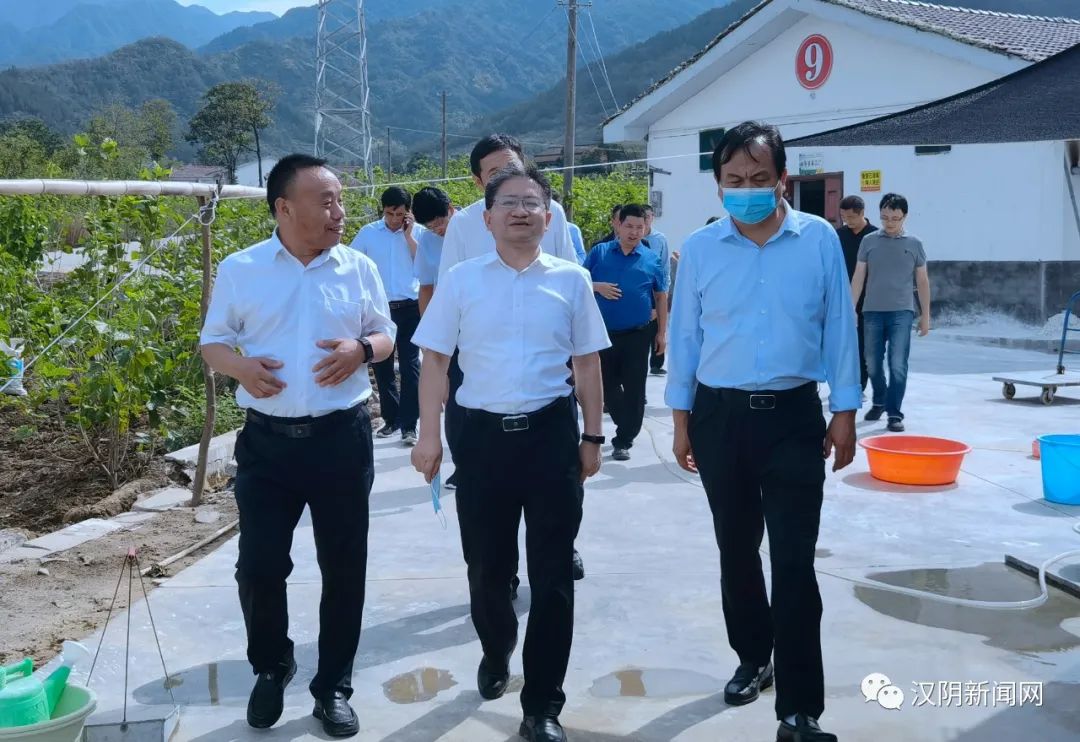 国家蚕桑产业技术体系首席科学家代方银来汉阴县调研蚕桑产业发展工作