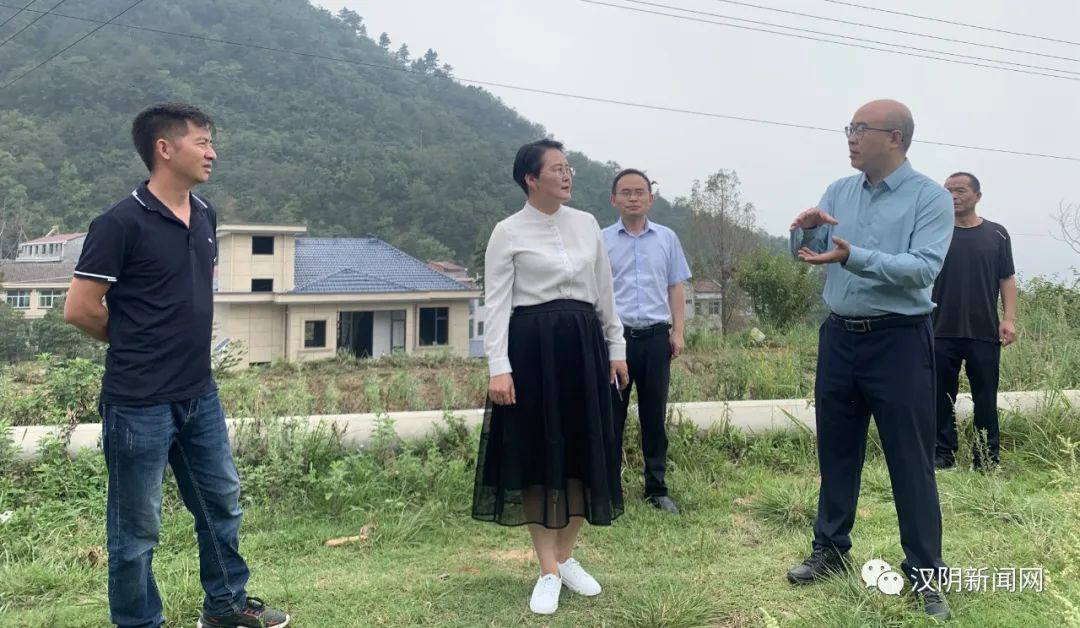 汉阴：县委书记刘飞霞调研城关镇村集体经济发展工作