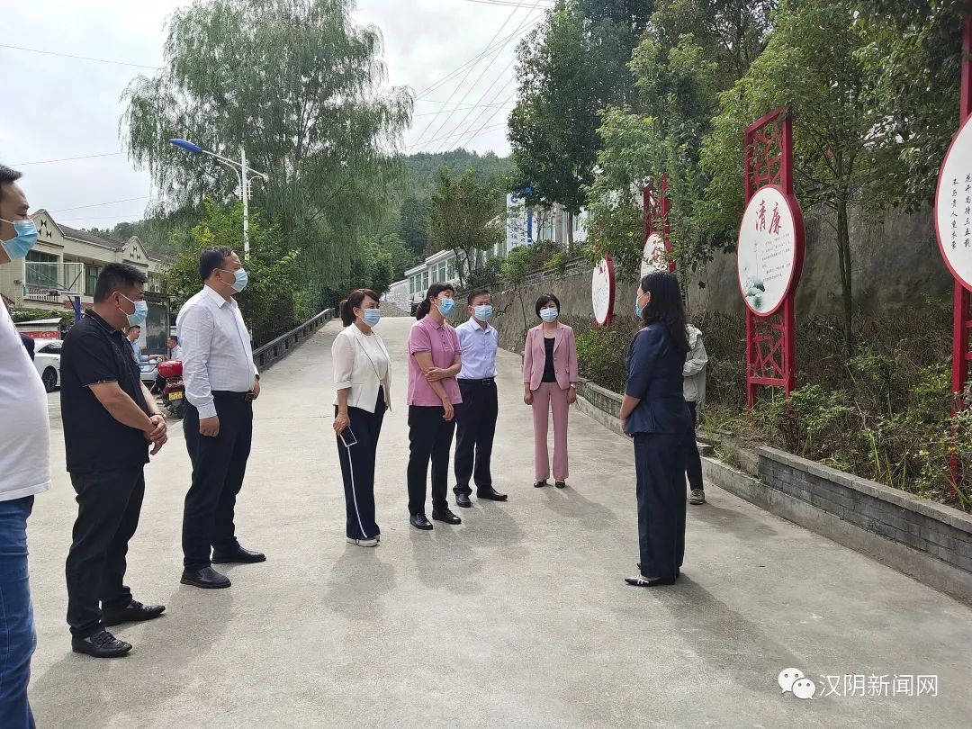省卫健委副主任赵岚来汉阴调研指导工作