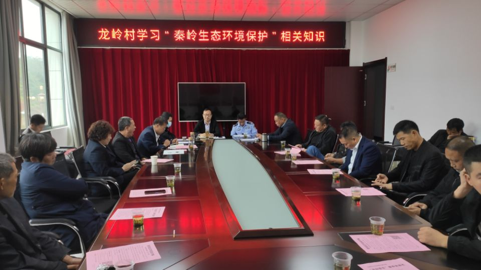 城关镇龙岭村开展初心使命凝聚奋进力量迎接党的二十大胜利召开“主题党日”活动