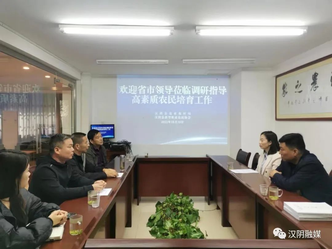 汉阴：现场调研促发展 精准把脉布新局