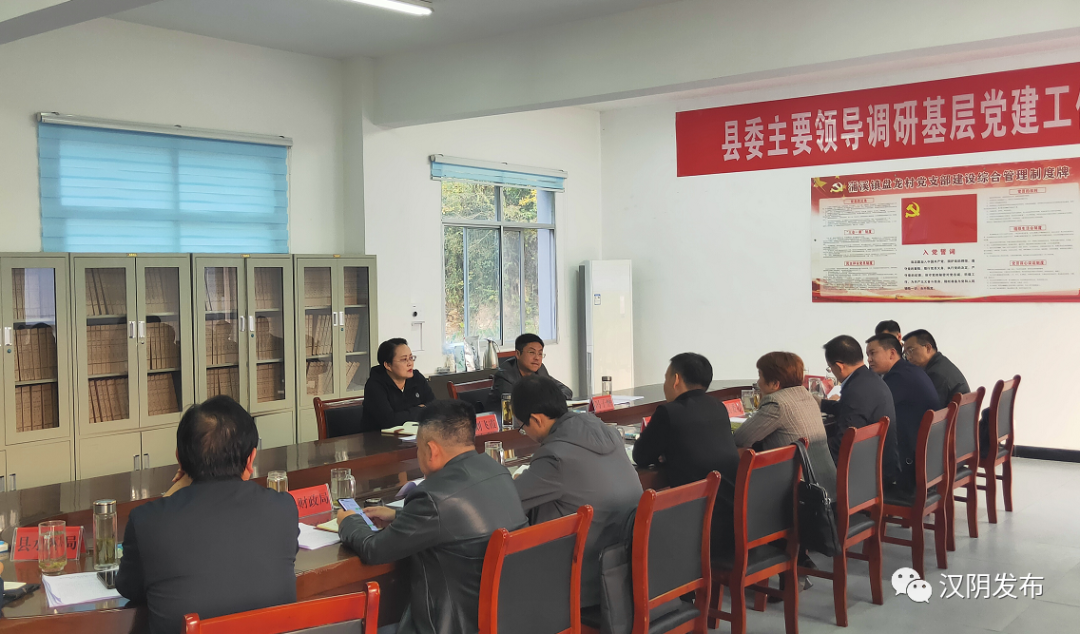 汉阴：县委书记刘飞霞到盘龙村调研指导抓党建促乡村振兴工作