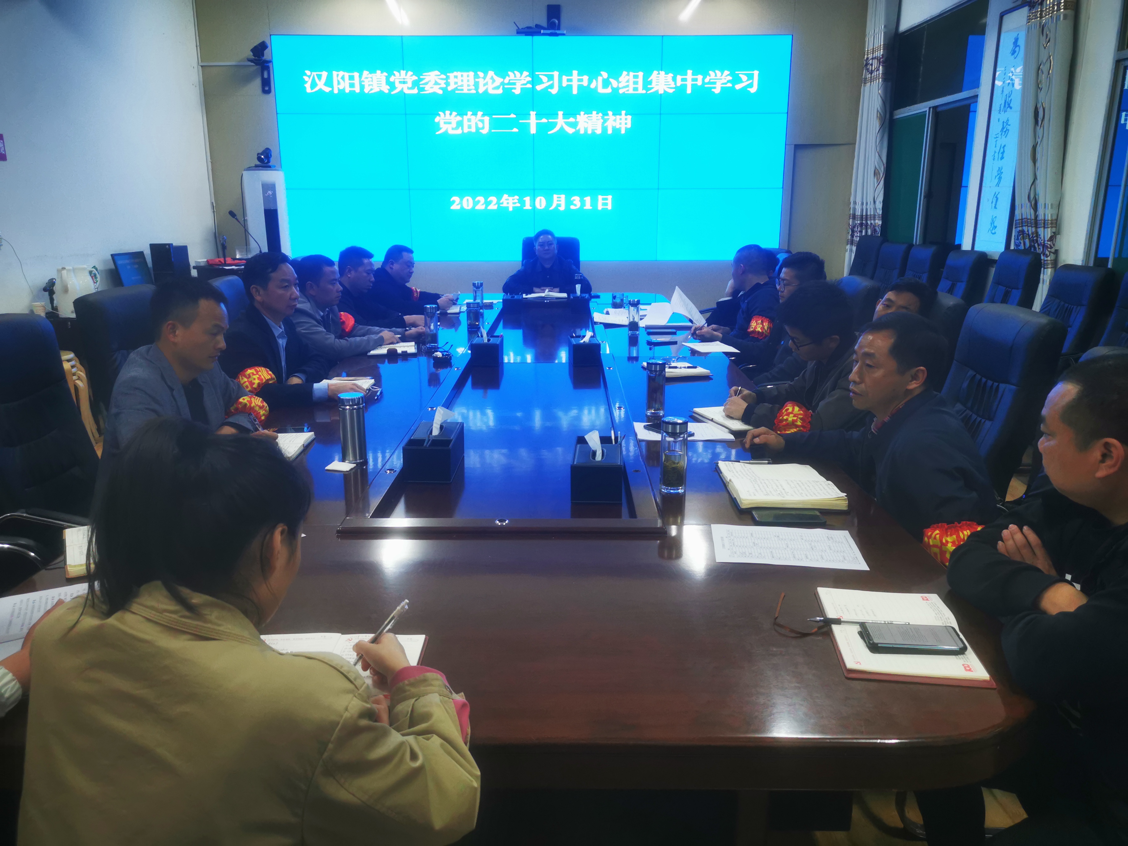 汉阴县汉阳镇党委理论学习中心组学习贯彻党的二十大精神