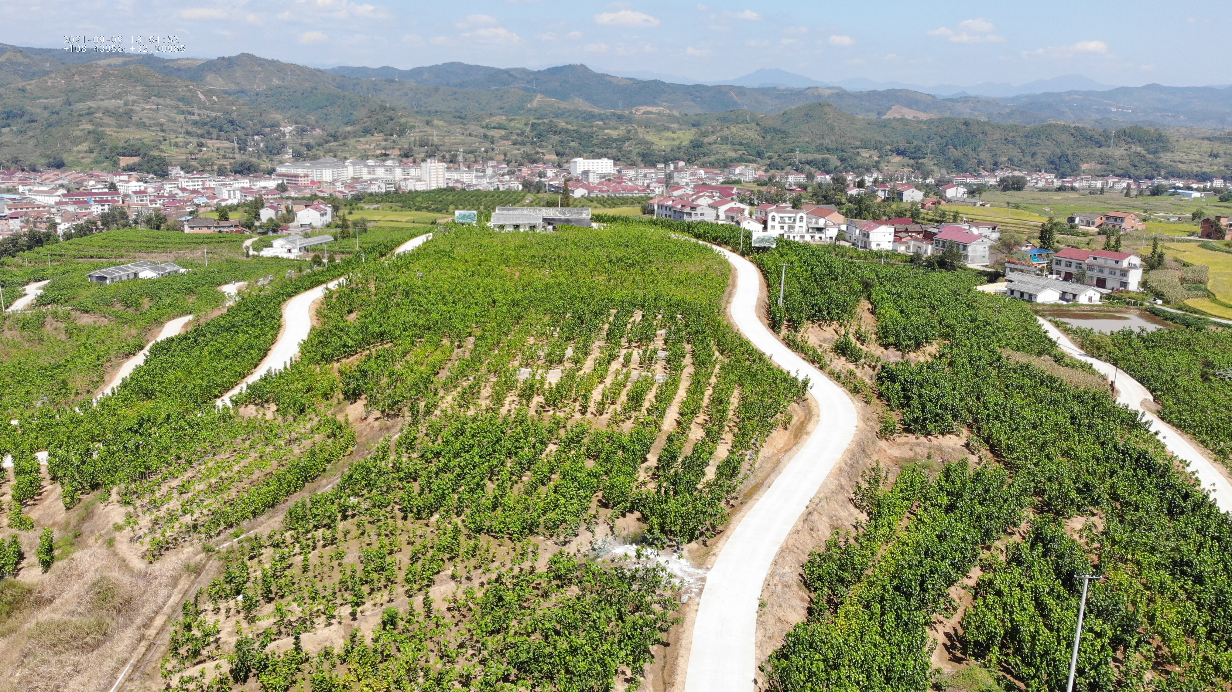 平梁：兴隆佳苑蚕桑现代农业园区获评市级现代农业园区