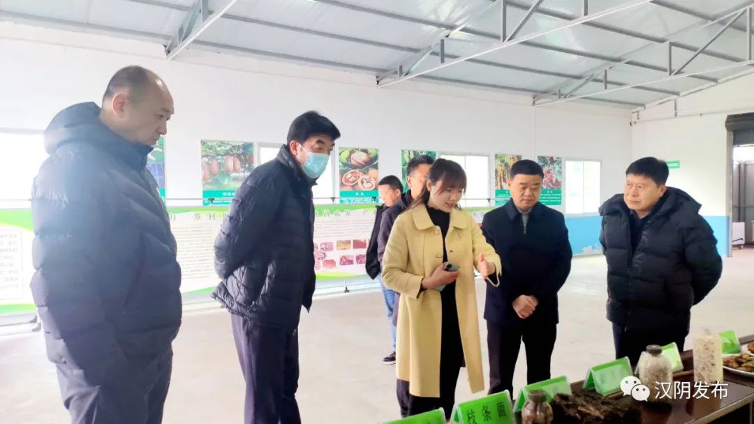 东航西北分公司党委书记谢鹏军一行来汉阴调研乡村振兴工作