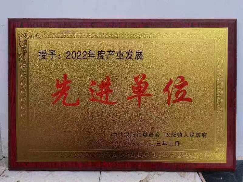 陕煤黄陵矿业有限公司定点帮扶笔架村喜获“产业发展先进单位”称号