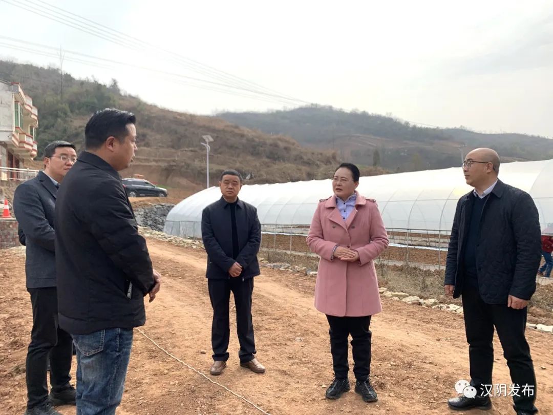 汉阴：县委书记刘飞霞调研春耕生产和高标准农田建设工作
