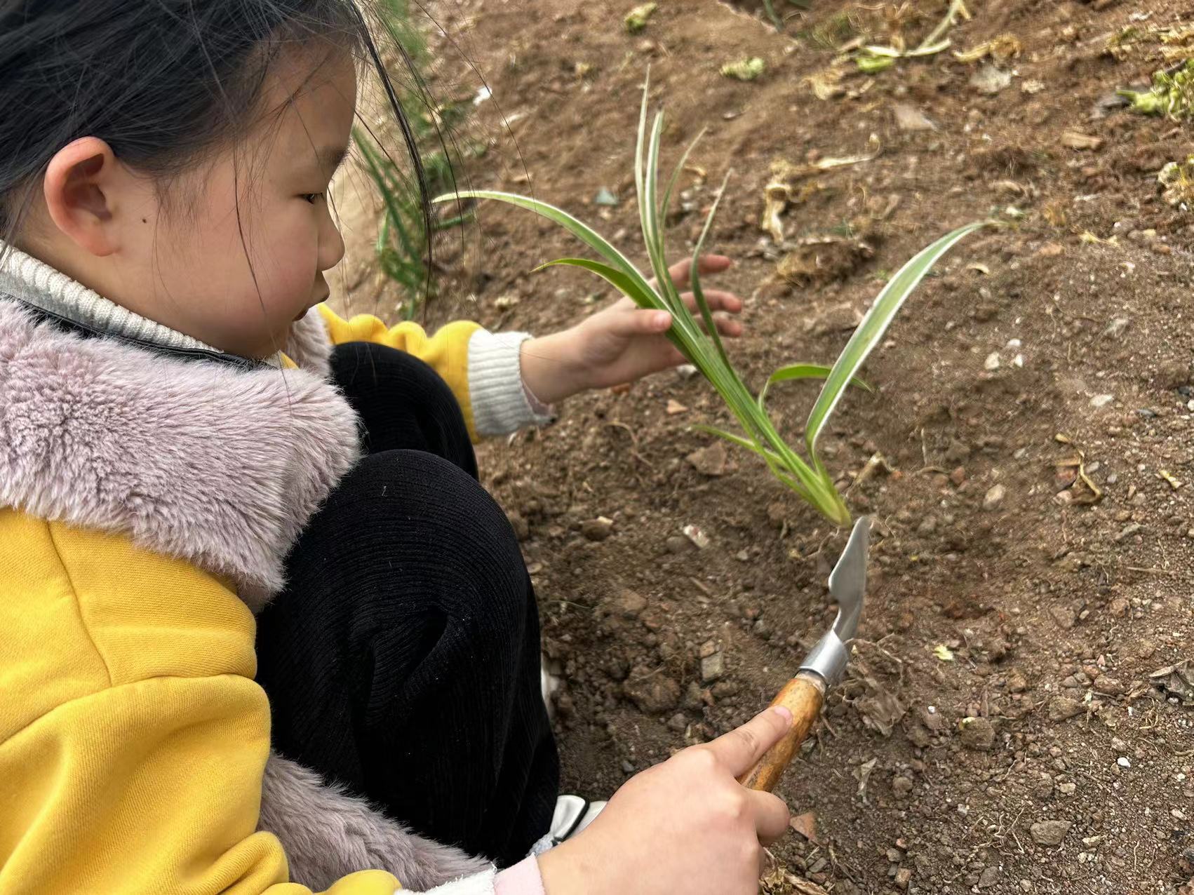 涧池镇中心小学开展植树节系列活动