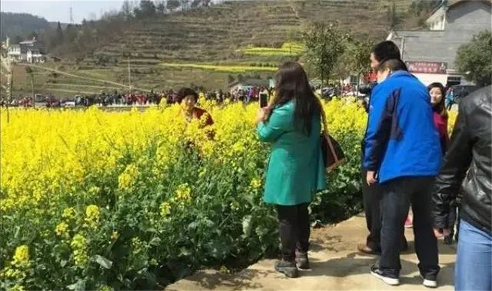 汉阴县漩涡镇：凤堰花海春意闹 志愿服务展风采