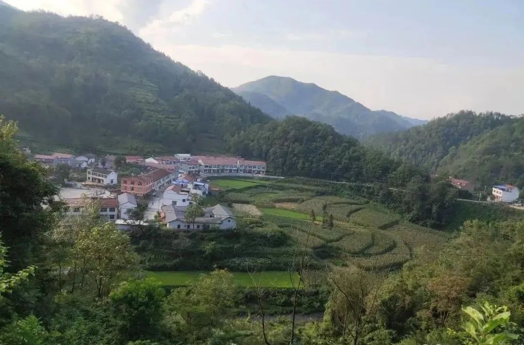 汉阴县铁佛寺镇：文明实践进田间