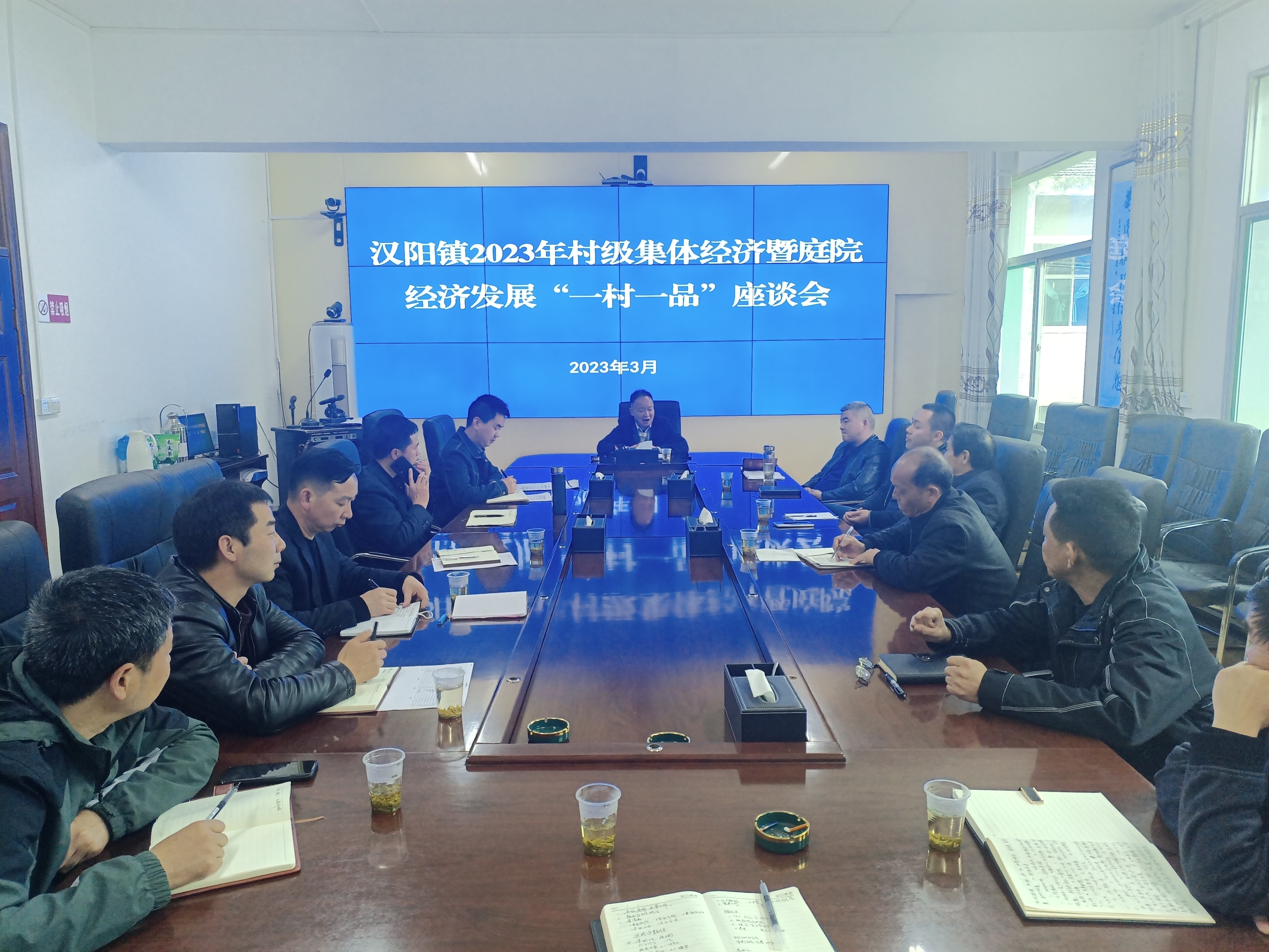 汉阳镇召开村级集体经济暨庭院经济发展“一村一品”座谈会