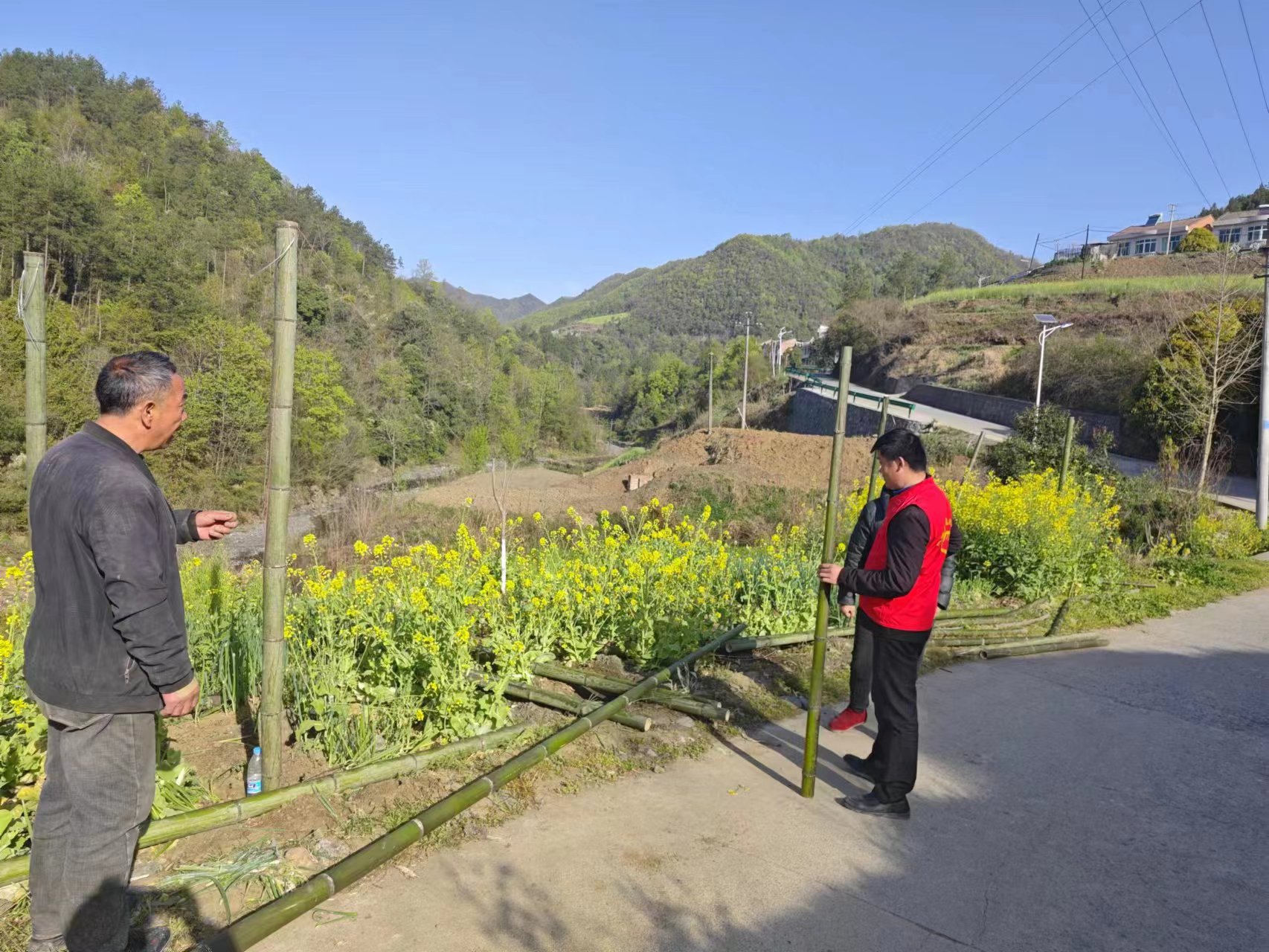 汉阴县铁佛寺镇李庄村：“庭院经济”为李庄村乡村振兴注入“新活力”