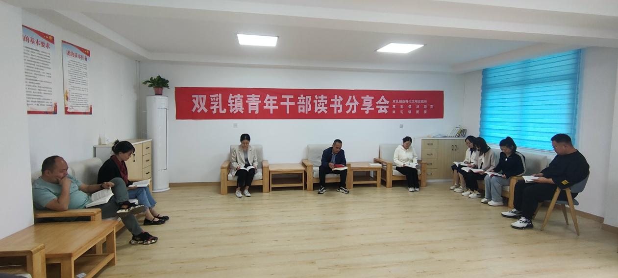 书润机关 书香赋能——双乳镇开展青年干部读书分享会