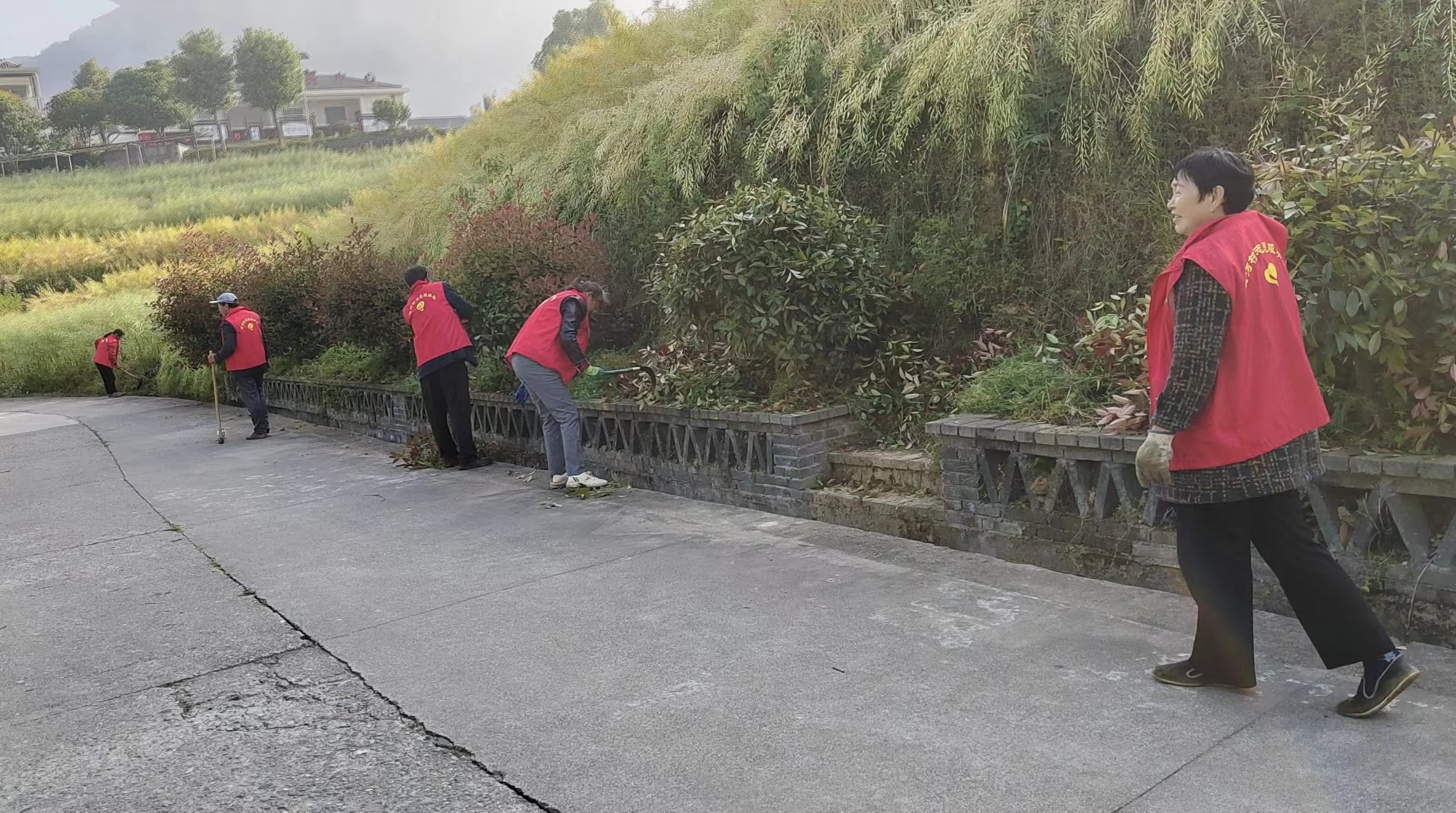 漩涡镇：人居环境再提升 镇容村貌焕新颜