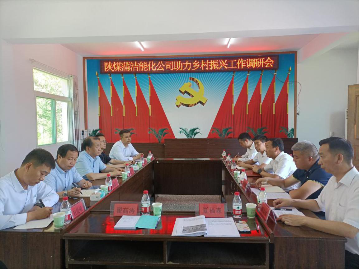 陕煤蒲洁能化公司到定点帮扶的汉阳镇长岭村开展乡村振兴调研督导工作