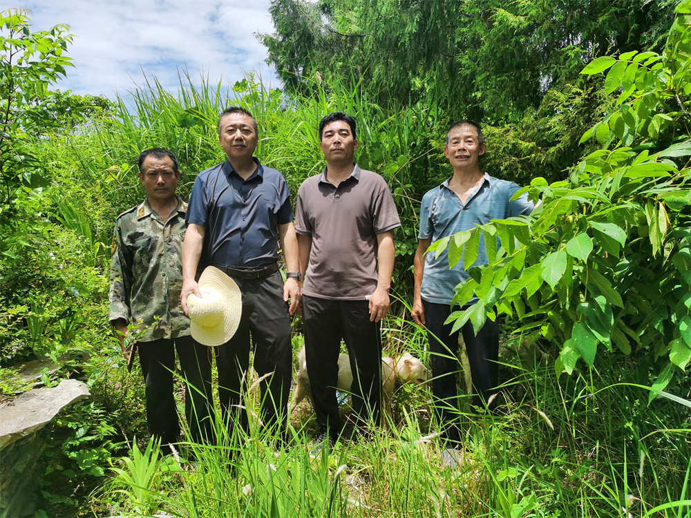 “怀民”书记：那一缕深山里的怀民情